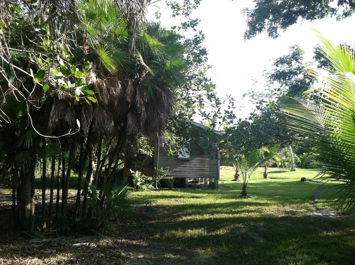 Nature Resort Bermudian Landing Camera foto